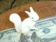 Vintage Antique Germany Porcelain Figurines White Squirrel Art Pottery Signed Figurines photo 3