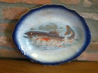 Antique Vintage Fish Platter Large Oval German Czech Bohemian Gilt Gilded Blue photo