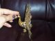Antique Ornate Brass & Crystal&rhinestone Oranment Figure Of Peacock Metalware photo 1