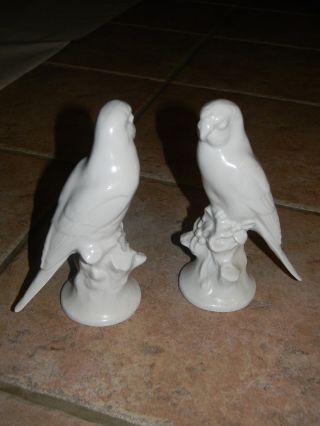 Carl Scheidig Germany 2 White Parrots Figurines photo