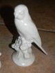 Carl Scheidig Germany 2 White Parrots Figurines Figurines photo 1