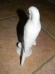 Carl Scheidig Germany 2 White Parrots Figurines Figurines photo 2