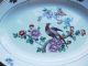 Antique Excellent Bird Of Paradise Porcelain Warming Tray Excello Platters & Trays photo 1