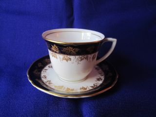 English Royal Worcester Cup And Saucer Arundel Pattern Of Grape Cluster & Leaves photo