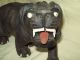 Ebony Hand Carved Wood Lion W/bone Teeth & Nails (folk Art) - Carved Figures photo 1