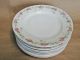 Set Of 61 Pcs L S & S Carlsbad Austria Fine China Pink & Green Rose Vine Pattern Plates & Chargers photo 4