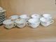 Set Of 61 Pcs L S & S Carlsbad Austria Fine China Pink & Green Rose Vine Pattern Plates & Chargers photo 7