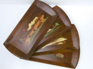 Hasko Wooden Four Seasons Decorative Trays Vintage / Antique Excellent photo