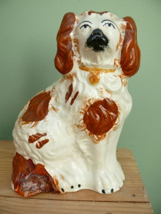 19thc Staffordshire Seated Red & White Spaniel Dog photo