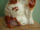 19thc Staffordshire Seated Red & White Spaniel Dog Figurines photo 2