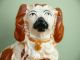 19thc Staffordshire Seated Red & White Spaniel Dog Figurines photo 5