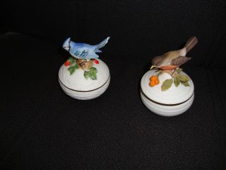 Antique Masterpiece Porcelain By Maruri Figurine Birds. photo