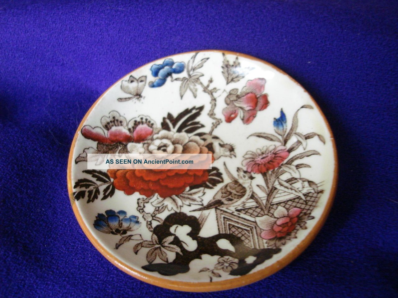 Antique 1880 Wedgwood Bullfinch Butter Pat Difficult To Find Amazing Condition Butter Pats photo