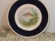 1947 Perch Plate Made In England Plates & Chargers photo 1