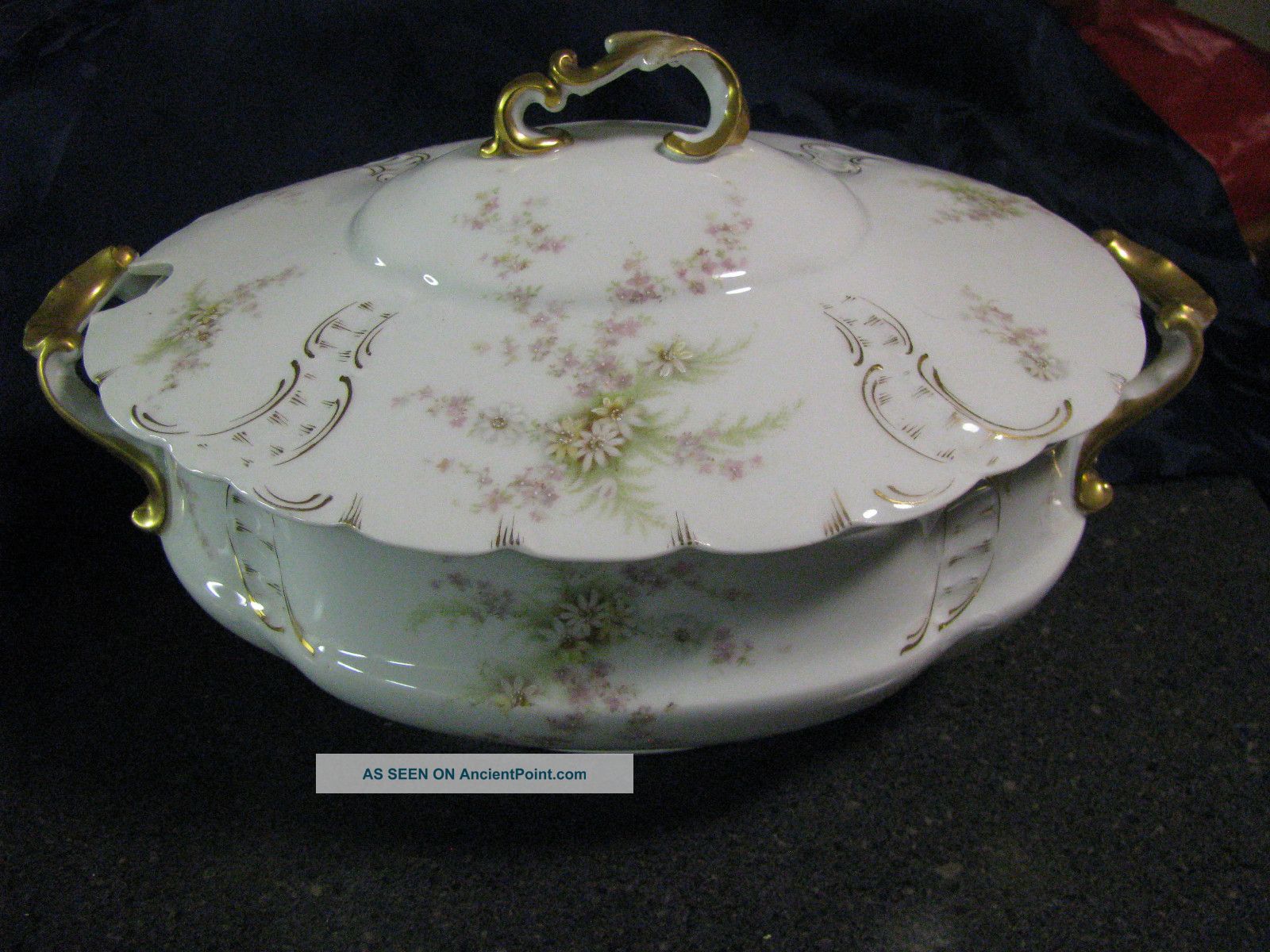 Circa 1900 Rosenthal German Porcelain Handpainted Tureen Tureens photo