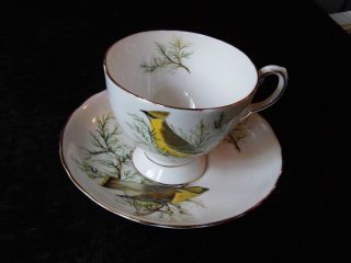 Vintage Fine Bone China Royal Tuscan Tea Cup And Saucer Set Audubon Birds photo