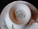 Vintage Fine Bone China Royal Tuscan Tea Cup And Saucer Set Audubon Birds Cups & Saucers photo 1