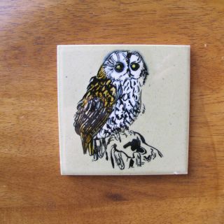 Hand Painted Owl Withersdale Ceramic Tile England Hand Decorated Vintage photo