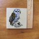 Hand Painted Owl Withersdale Ceramic Tile England Hand Decorated Vintage Tiles photo 1