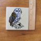 Hand Painted Owl Withersdale Ceramic Tile England Hand Decorated Vintage Tiles photo 2
