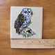 Hand Painted Owl Withersdale Ceramic Tile England Hand Decorated Vintage Tiles photo 3