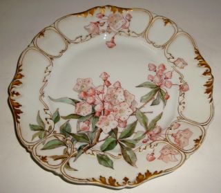 , T&v Limoges France Plate,  With Hand Painted Floral Decoration photo