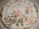 , T&v Limoges France Plate,  With Hand Painted Floral Decoration Plates & Chargers photo 1
