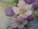 Handpainted Plate,  Signed,  Raspberry & Cherry Blossoms,  Excond Nr Other photo 1