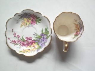 Antique Taylor & Kent Bone China Teacup/saucer - W Floral Design & Gold Accents photo