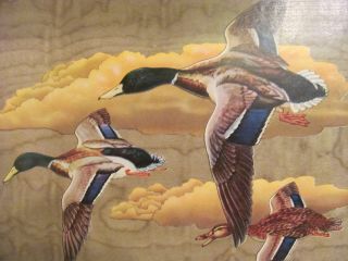 Set Of Two Hasko Deluxe Serving Trays Lithographed Ducks In Box photo