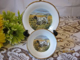 Very Regal Salisbury Springer Spaniel Tea Cup And Saucer ~ Numbered photo