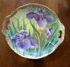 Antique Porcelain Bowl Tray Plate Limoges German Paris Porcelain? Iris & Gilt Bowls photo 1