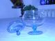 Vintage Blue / Clear Apothecary Covered Glass Jar / Canister Jars photo 1