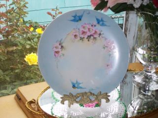 Hand Painted Porcelain Plate~bluebirds & Wild Roses 10+ 