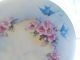 Hand Painted Porcelain Plate~bluebirds & Wild Roses 10+ 