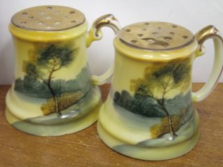 1930 Noritake Tree In The Meadow Salt And Pepper Shakers photo