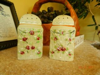 A Wonderful Set Of Salt & Pepper Shakers In Awesome Condition Japan photo