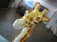 Antique Italian Giraffe Figurine Large Figurines photo 1