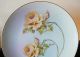 Hub Austria Green Mark 1919 - 1928 Sngd Picard Decorated Yellow Roses Plate Exc Plates & Chargers photo 2