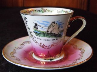 Vintage Schmidt Rio Porcelain Tea Cup And Saucer Set W/ Gold Trim Made In Brazil photo