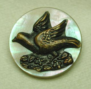 Antique Button Brass Bird Escutcheon On Iridescent Shell photo