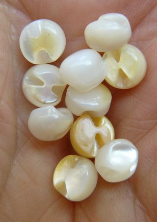 Antique Mother Of Pearl White Round Back Hole Buttons 40 Count photo