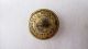 Antique New Hampshire State Seal Coat Button Scovill Mfg Co Waterbury 23 Mm Buttons photo 1