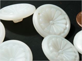 (6) 23 Mm Antique Vintage Czech Daisy White Glass Buttons 20´s photo