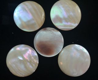 4 Antique Shell Buttons Cream Iridescent Mother Of Pearl With Brass Shank 22 photo