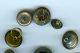 Antique Military Buttons (14) / Lot 1,  Mixed Group Buttons photo 1