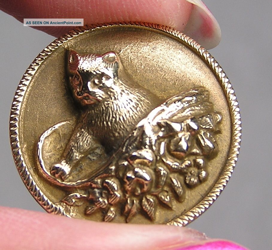 Brass Picture Button Cat In A Bonnet Metal Buttons photo