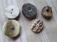Antique Buttons From Bone/the Are From The Black Forest (5) Buttons photo 1
