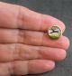 Vtg Domed Glass Top Button Horse Picture Equestrian Lion Brand England Racing Buttons photo 4