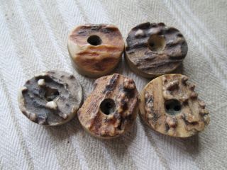Antique Buttons From Bone/the Are From The Black Forest (4) photo